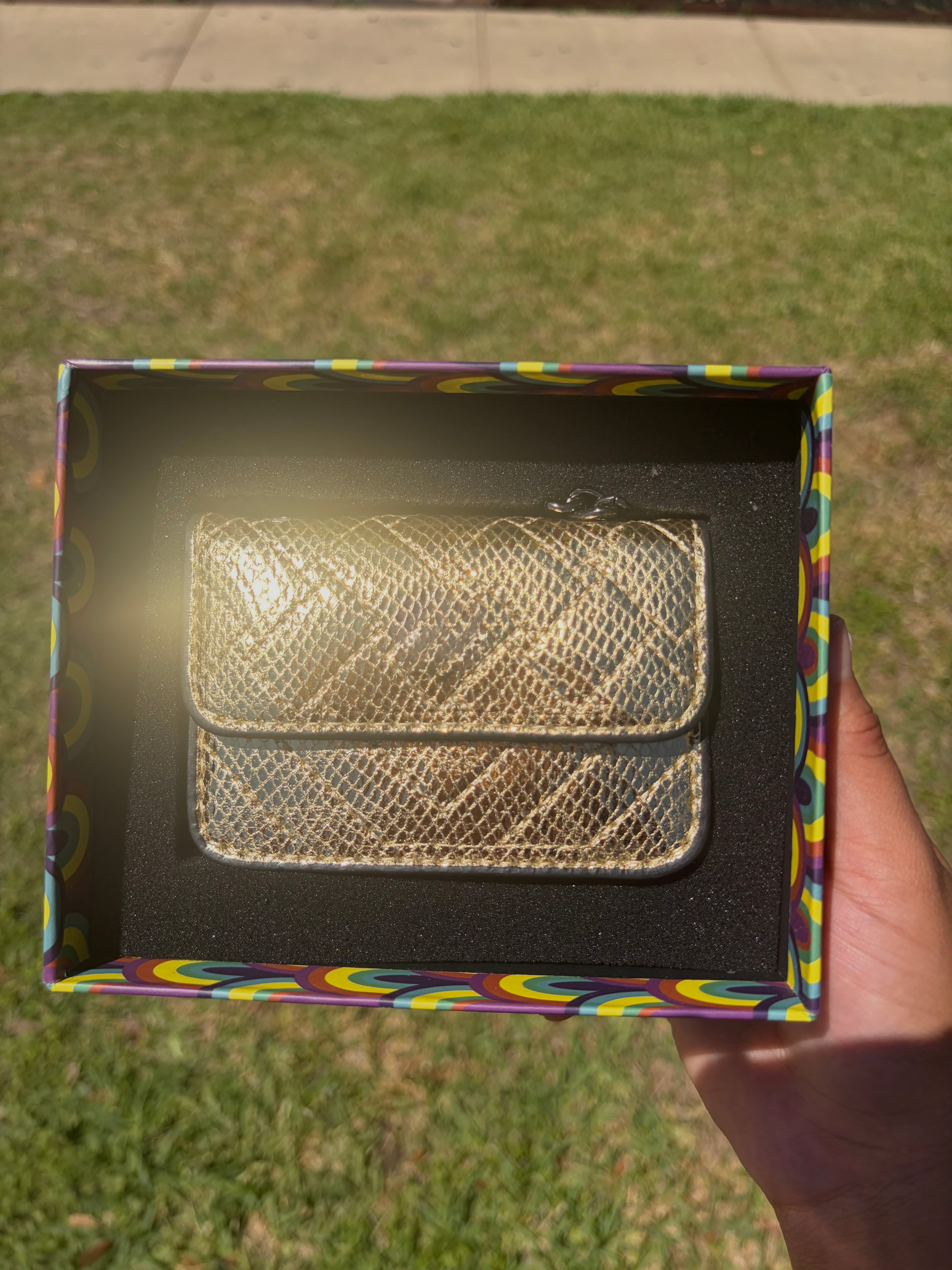 Mini Quilted Chain Bag